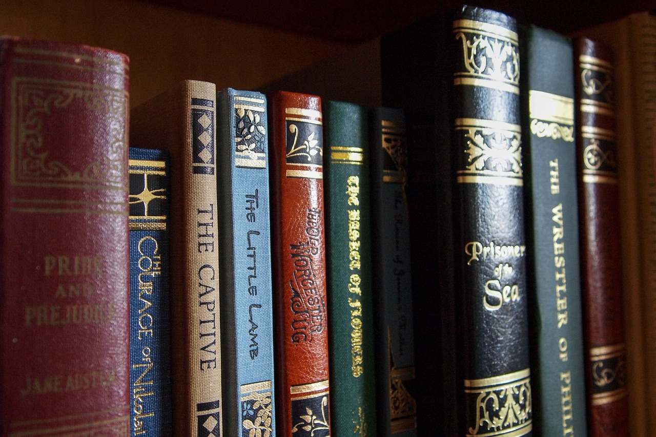 Picture of a bookshelf with books on it.