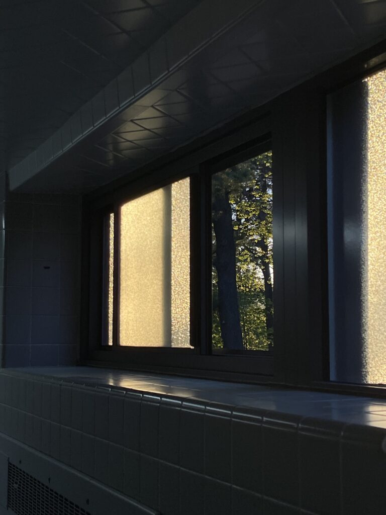 Picture of an open bathroom window up close at sunset. The window's glass is golden with sunlight. Through the opening, green trees are depicted in the background. 