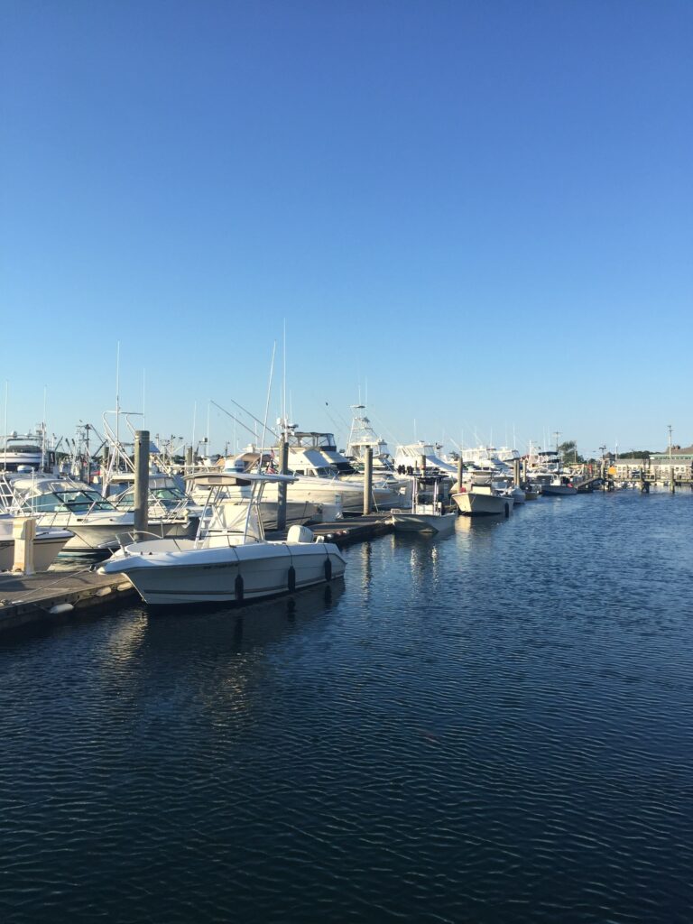 Picture of a marina with many white boats parked in it. 