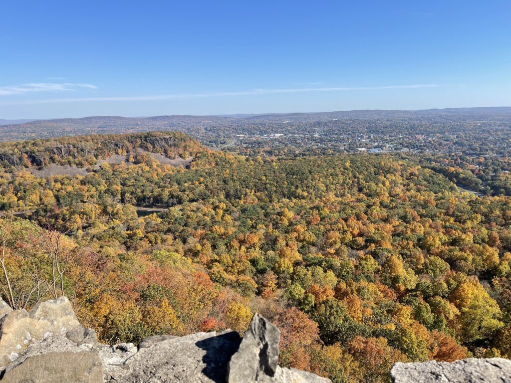 Picture of an aerial view of fall foliage. 