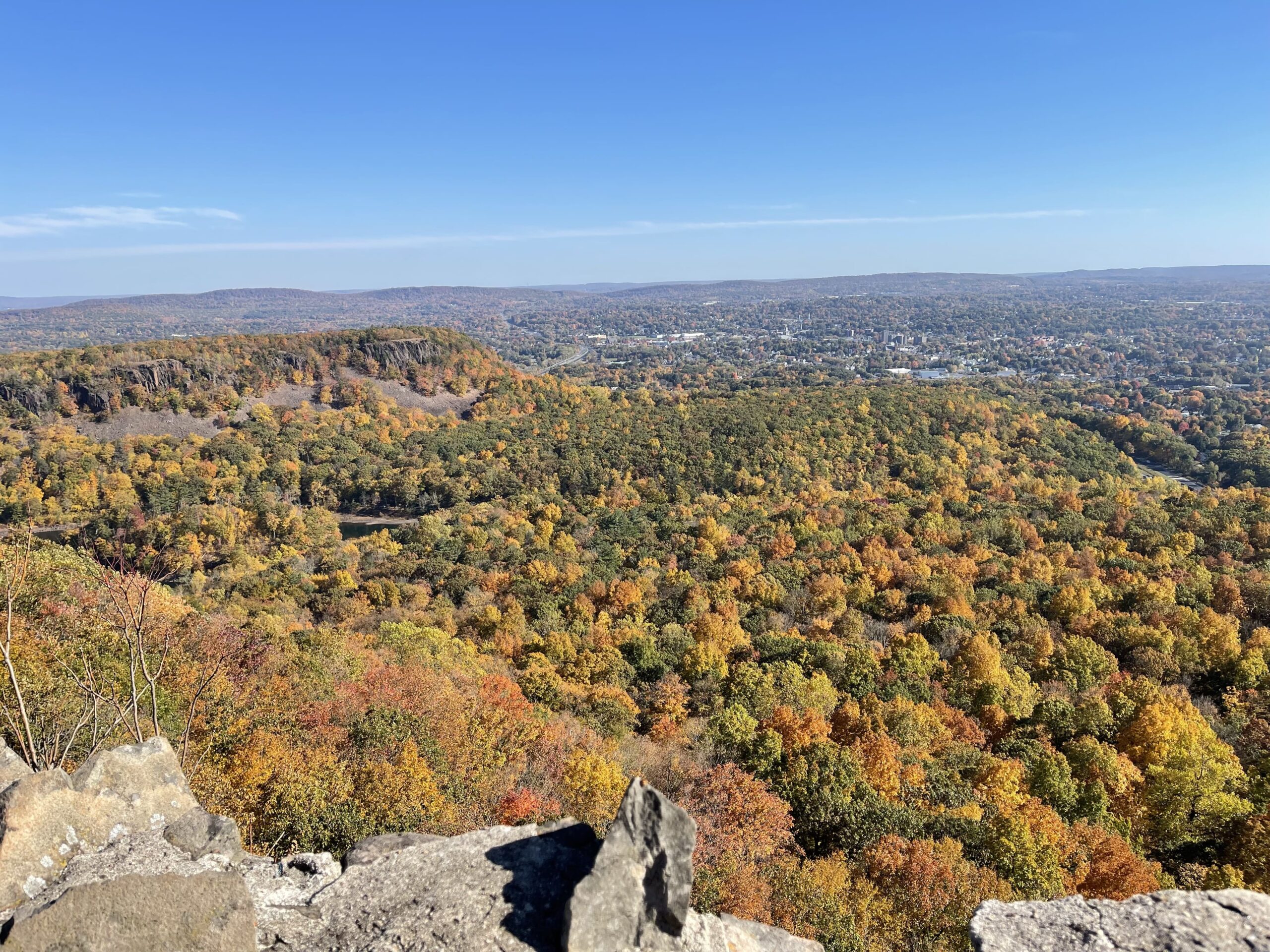 Picture of an aerial view of fall foliage. 